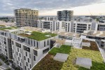 Improving the roof greening of single family villa by residential space landscape