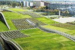 Commercial space landscape promotes roof greening of shopping center