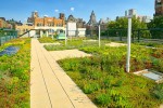 Improving the roof greening of single family villa by residential space landscape