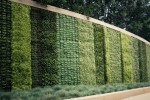 Road landscape upgrade enclosure plant wall