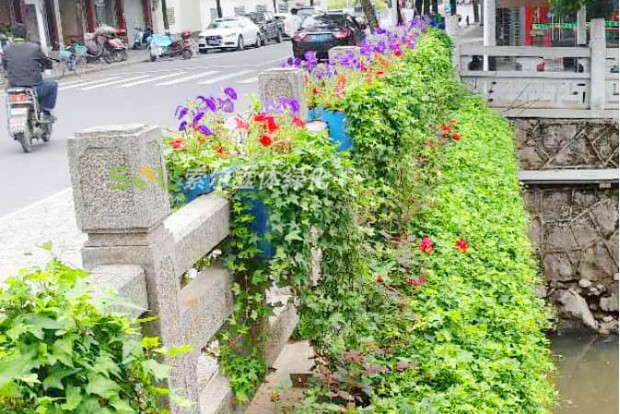 Improvement of municipal road landscape