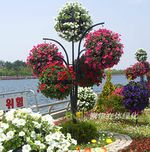Kapan style landscape flowers and trees