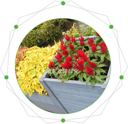 Characteristics of combination landscape