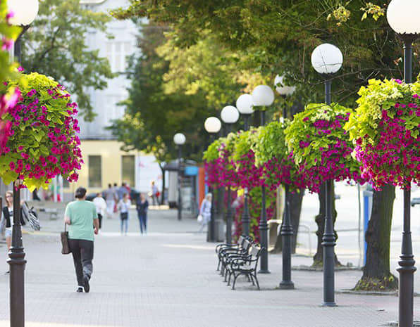 Lighting pole greening solution display
