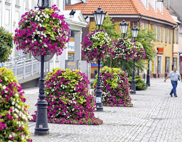 Lighting pole greening solution display