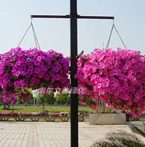 Hanging pole greening