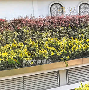 Slope roof greening