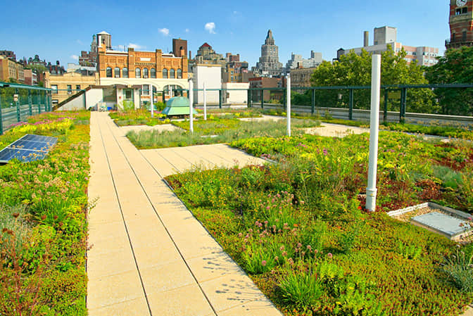 Improving the roof greening of single family villa by residential space landscape