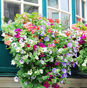 Window sill bottom hanging beautification